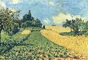 Getreidefelder auf den Hugeln von Argenteuil